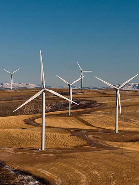 便宜的注册网站求的小黑ddos压力测试平台