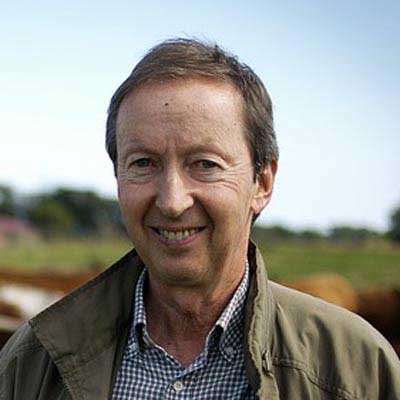 在线DDOS压力测试网页端