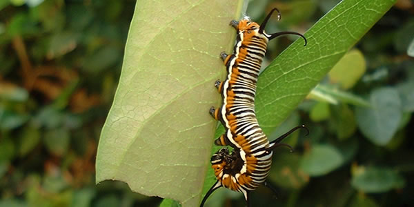 高性价比商用的网站攻击源码